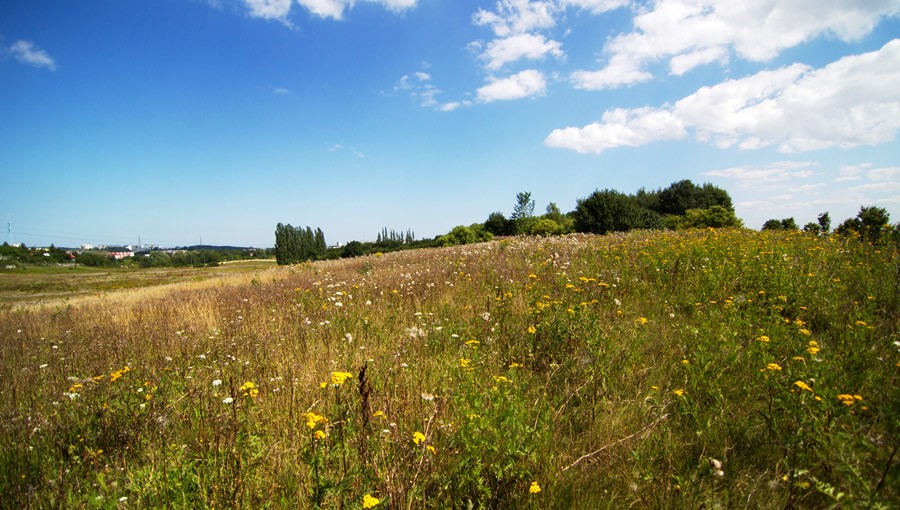 Otoczenie osiedla mieszkaniowego Wolne Miasto