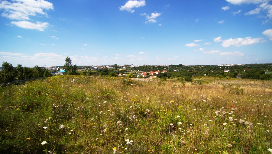 Krajobraz 2 - bezpośrednie otoczenie osiedla mieszkaniowego Wolne Miasto