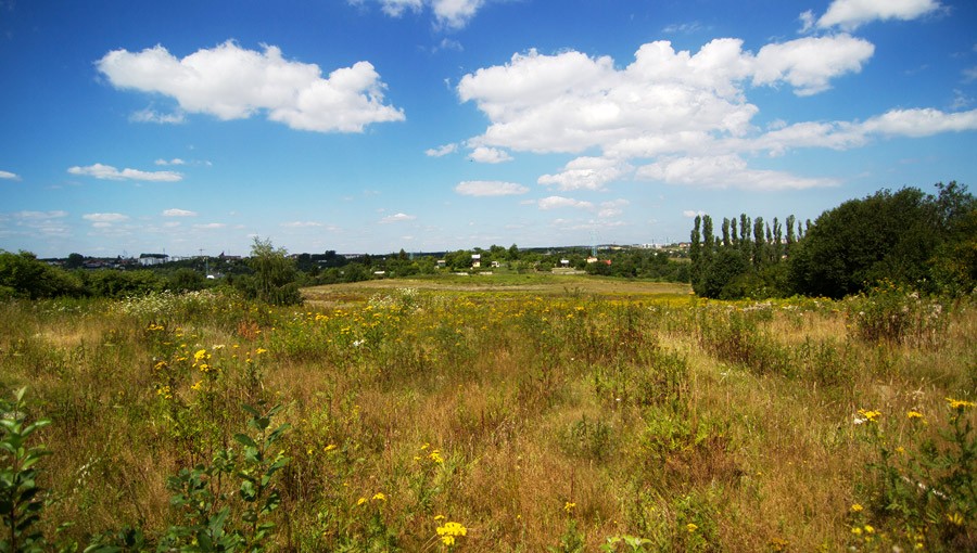 Krajobraz - bezpośrednie otoczenie osiedla mieszkaniowego Wolne Miasto